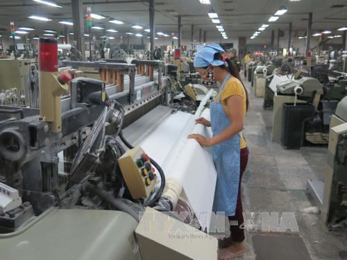 印度投资者代表团赴南定省考察了解投资环境 ảnh 1