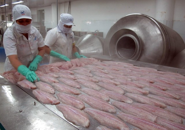 2015年越南查鱼出口总额预计有所下降 ảnh 1