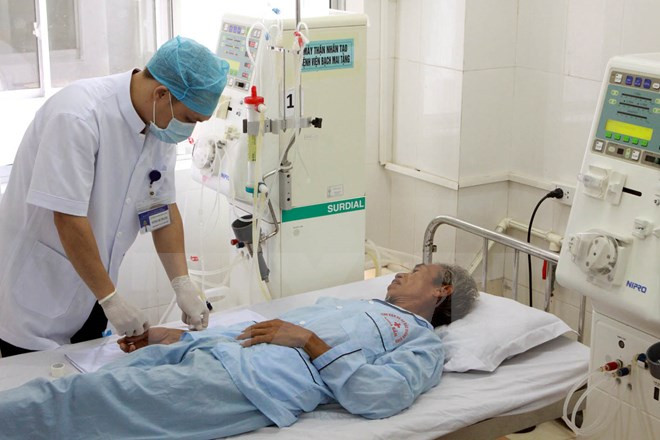 越南当选世界卫生组织执行委员会委员 ảnh 1 越南当选世界卫生组织执行委员会委员 ảnh 1