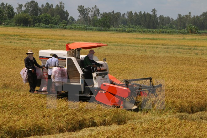 越南国会主席阮生雄出席2015年全国优秀农民表彰会 ảnh 1 越南国会主席阮生雄出席2015年全国优秀农民表彰会 ảnh 1