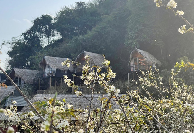 组图:越南山萝省木州旅游攻略:值得体验的民宿 ảnh 11 组图:越南山萝省木州旅游攻略:值得体验的民宿 ảnh 11