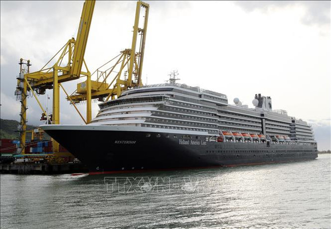 2020庚子年春节:岘港市迎接首批海运入境国际游客 ảnh 1 2020庚子年春节:岘港市迎接首批海运入境国际游客 ảnh 1