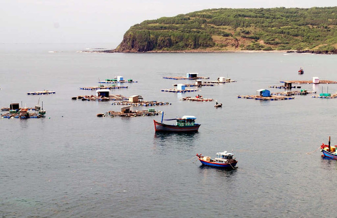 越南海洋环境：现状与对策 ảnh 1