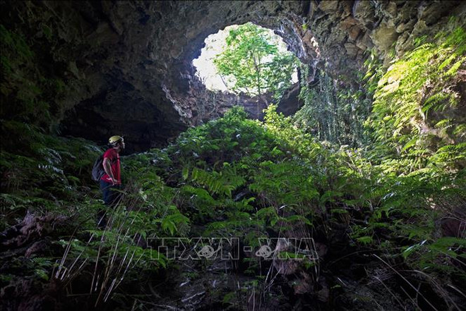 克容诺——绿色西原地区之奇观 ảnh 3
