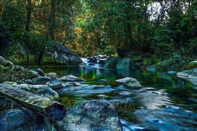 克容诺——绿色西原地区之奇观 ảnh 1