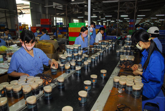 建党90周年:私人经济是重要的动力——找出突破口(第一期) ảnh 1 建党90周年:私人经济是重要的动力——找出突破口(第一期) ảnh 1