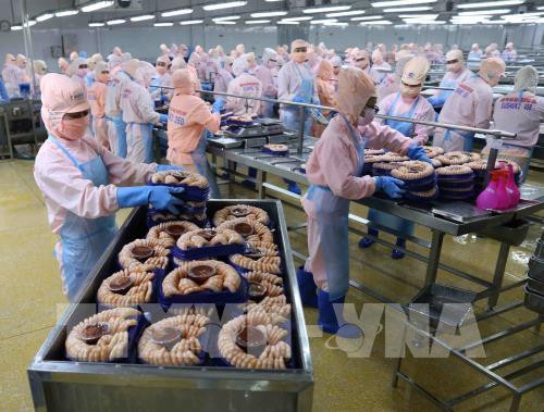 越通社评选出2019年越南十大国内热点新闻 ảnh 1  越通社评选出2019年越南十大国内热点新闻 ảnh 1