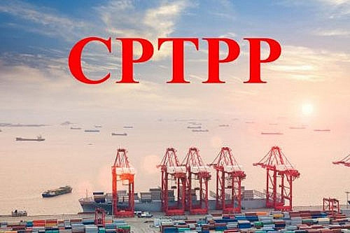 CPTPP生效一年后带来切实利益 ảnh 1 CPTPP生效一年后带来切实利益 ảnh 1