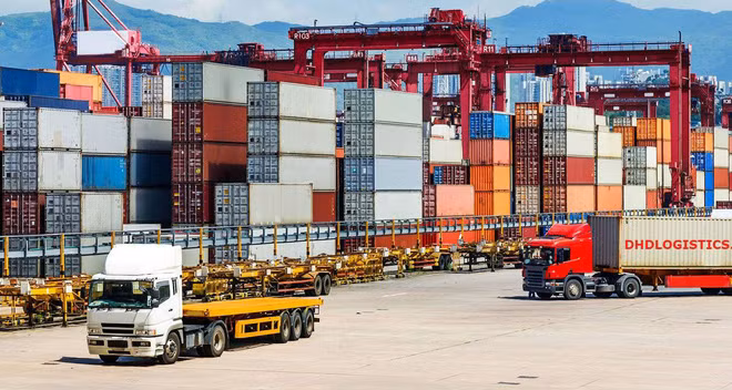 越南与中东-非洲国家加强合作共促发展 ảnh 1