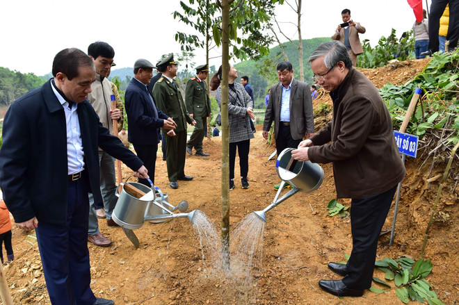 陈国旺同志出席宣光省植树节启动仪式 ảnh 2 陈国旺同志出席宣光省植树节启动仪式 ảnh 2