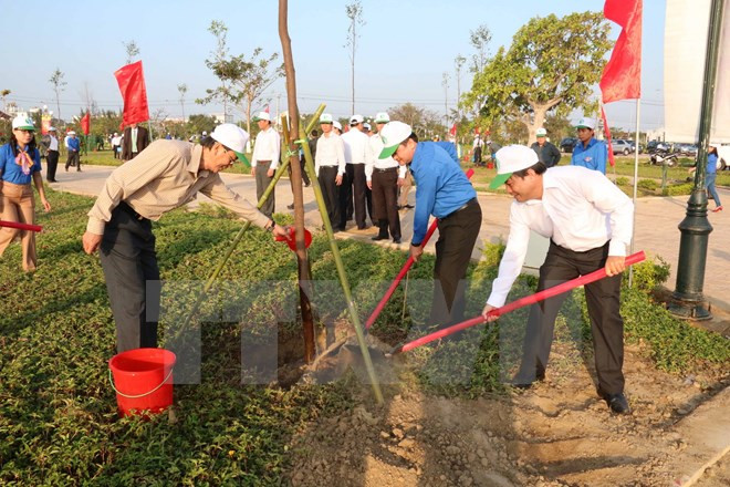 胡志明市力争至2020年底森林覆盖率达40% ảnh 1 胡志明市力争至2020年底森林覆盖率达40% ảnh 1