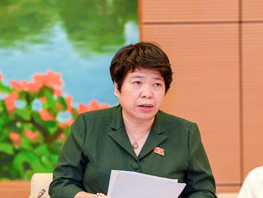 越南第十四届国会第十次会议:增加对艾滋病防治工作的国内资源 ảnh 2 越南第十四届国会第十次会议:增加对艾滋病防治工作的国内资源 ảnh 2