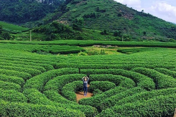 山罗旅游推广活动在首都河内举行 ảnh 1 山罗旅游推广活动在首都河内举行 ảnh 1