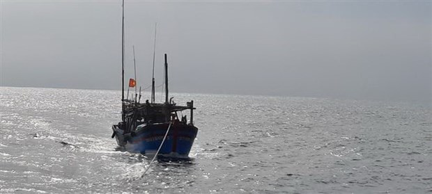 继续开展在海上失踪的平定省26名渔民的搜救工作 ảnh 1