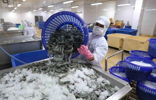 越南明富公司回应美国海关关于对冷冻虾征收反倾销税的结论 ảnh 1 越南明富公司回应美国海关关于对冷冻虾征收反倾销税的结论 ảnh 1