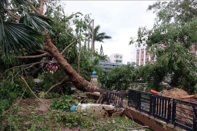 第九号台风给越南各地造成严重的人员和财产损失 ảnh 2 第九号台风给越南各地造成严重的人员和财产损失 ảnh 2