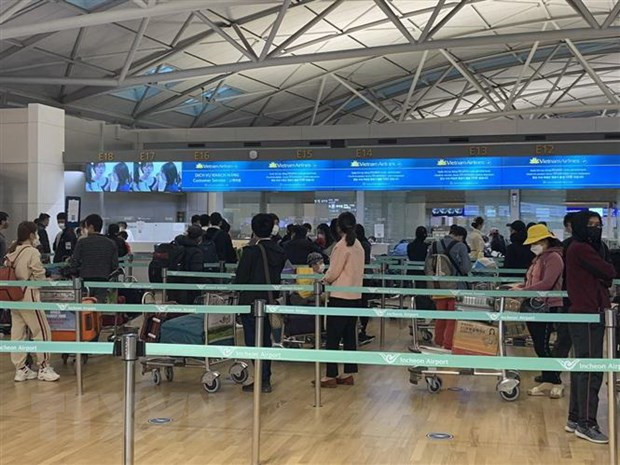 将在加拿大和韩国的350余名越南公民接回国 ảnh 1 将在加拿大和韩国的350余名越南公民接回国 ảnh 1