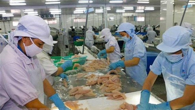 波兰市场为越南水产品敞开大门 ảnh 1 波兰市场为越南水产品敞开大门 ảnh 1