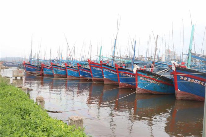 越南政府总理就第九号台风防御工作作出指示 ảnh 2 越南政府总理就第九号台风防御工作作出指示 ảnh 2