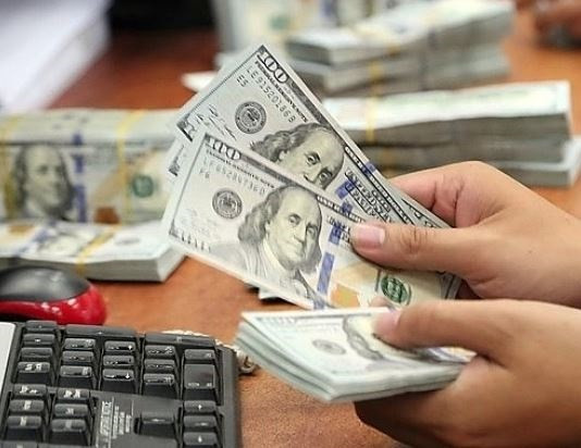 10月23日越盾对美元汇率中间价下调5越盾 ảnh 1 10月23日越盾对美元汇率中间价下调5越盾 ảnh 1