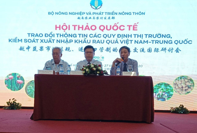 寻找措施加大对中国市场出口越南蔬果的力度 ảnh 1 寻找措施加大对中国市场出口越南蔬果的力度 ảnh 1