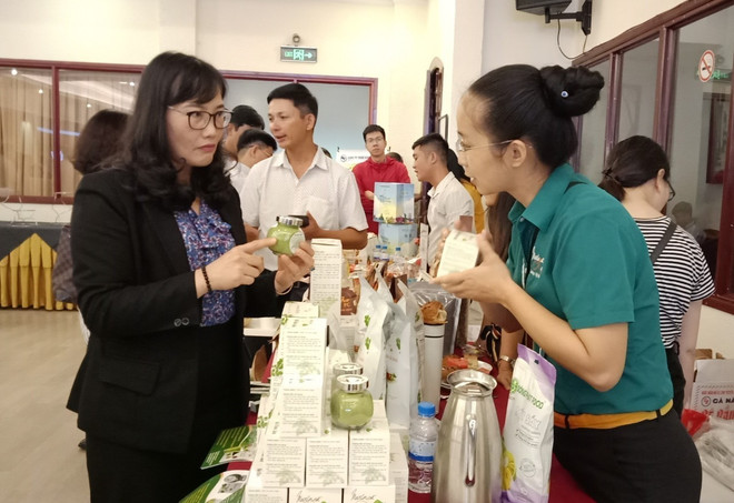 寻找措施加大对中国市场出口越南蔬果的力度 ảnh 2 寻找措施加大对中国市场出口越南蔬果的力度 ảnh 2