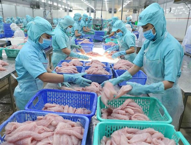 越南水产品出口出现复苏信号 ảnh 1 越南水产品出口出现复苏信号 ảnh 1