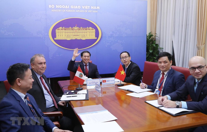  越南与秘鲁两国外交部第四次政治磋商以视频方式举行 ảnh 1