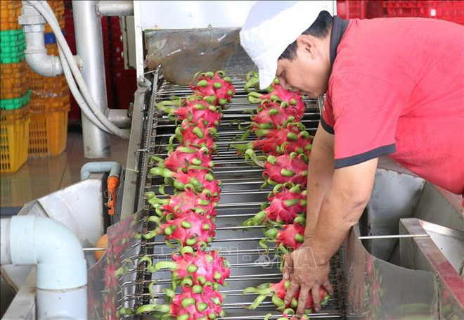 寻找潜在伙伴以加大对英国的农产品出口力度 ảnh 2