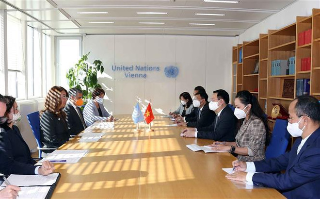 国会主席王廷惠会见联合国维也纳办事处总干事加达·瓦利 ảnh 2