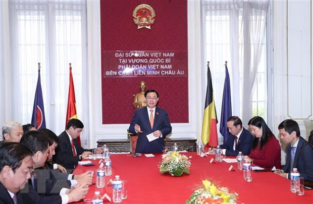 王廷惠会见驻比利时大使馆工作人员和在比越南人代表 ảnh 2 王廷惠会见驻比利时大使馆工作人员和在比越南人代表 ảnh 2