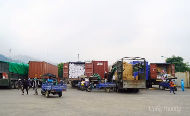 越南广宁省进出口活动大有起色 ảnh 1