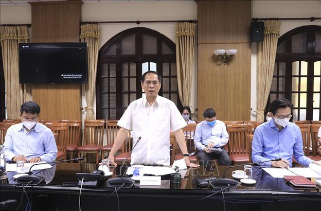 越南政府新冠疫苗外交工作组召开第二次会议 ảnh 1