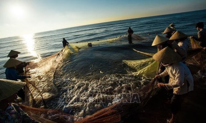 越方愿加快推进与柬埔寨的农业、水产养殖合作项目进度 ảnh 1 越方愿加快推进与柬埔寨的农业、水产养殖合作项目进度 ảnh 1