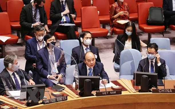 英国驻联合国大使:越南为安理会作出了许多贡献 ảnh 1 英国驻联合国大使:越南为安理会作出了许多贡献 ảnh 1