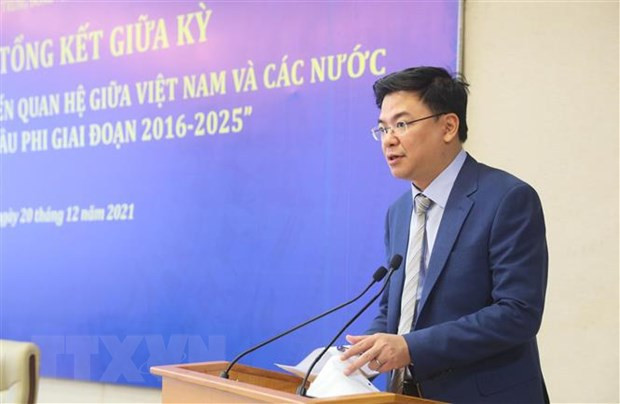 推动越南与中东-非洲地区各国关系发展 ảnh 1 推动越南与中东-非洲地区各国关系发展 ảnh 1