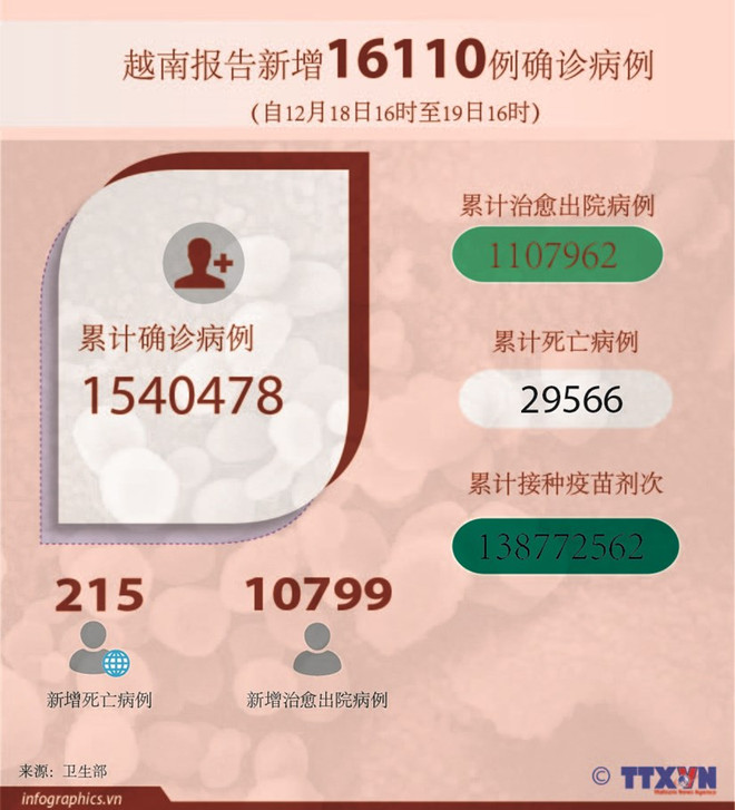 越南卫生部建议在2022年农历春节期间停止非必要聚集性活动 ảnh 2 越南卫生部建议在2022年农历春节期间停止非必要聚集性活动 ảnh 2