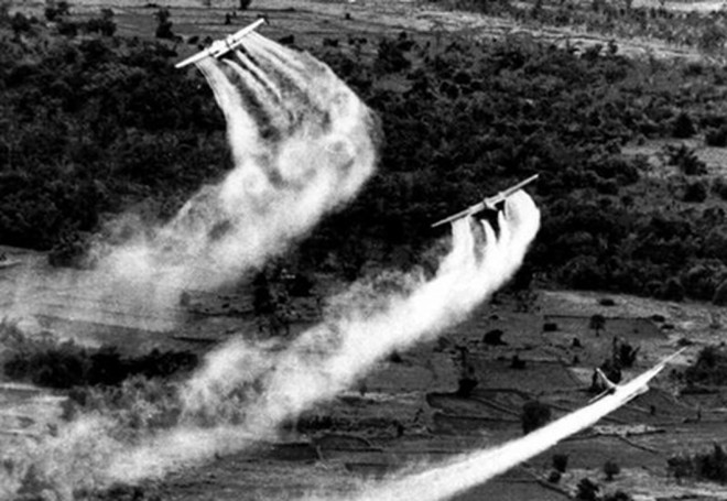 33件作品获“越橙剂灾难”新闻奖 ảnh 1 33件作品获“越橙剂灾难”新闻奖 ảnh 1