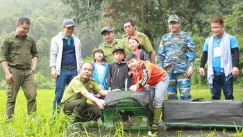 菊方国家公园“回家”旅游线路 ảnh 1