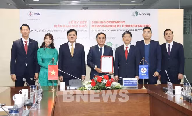 越南电力集团与新加坡SEMBCORP集团加强电力领域合作 ảnh 1