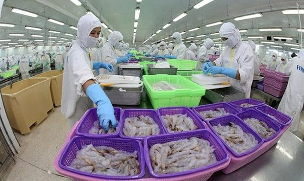 越南商品进军欧洲市场的余地巨大 ảnh 1 越南商品进军欧洲市场的余地巨大 ảnh 1