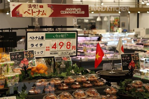 越日食品加工企业合力扩大进出口规模 ảnh 1