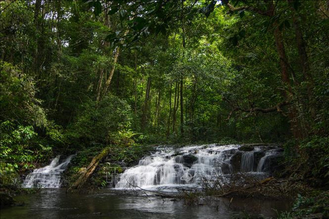 加强对昆何农世界生物圈保护区的保护工作 ảnh 2
