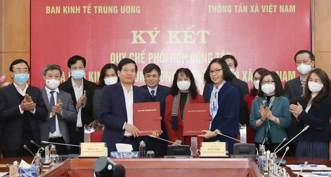 中央经济部与越通社强化协作配合 ảnh 1