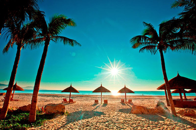 庆和省向亚太经合组织系列会议代表展现当地文化魅力 ảnh 1