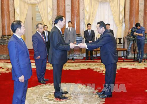 越南国家主席陈大光接受六国大使递交的国书 ảnh 3 越南国家主席陈大光接受六国大使递交的国书 ảnh 3