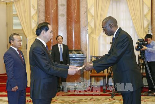 越南国家主席陈大光接受六国大使递交的国书 ảnh 5 越南国家主席陈大光接受六国大使递交的国书 ảnh 5