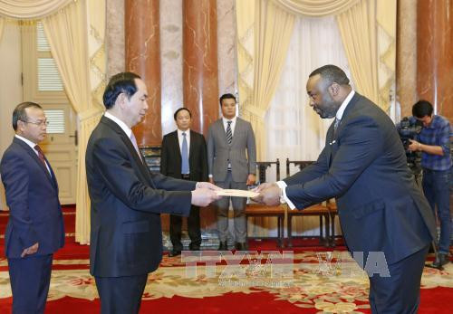 越南国家主席陈大光接受六国大使递交的国书 ảnh 6 越南国家主席陈大光接受六国大使递交的国书 ảnh 6