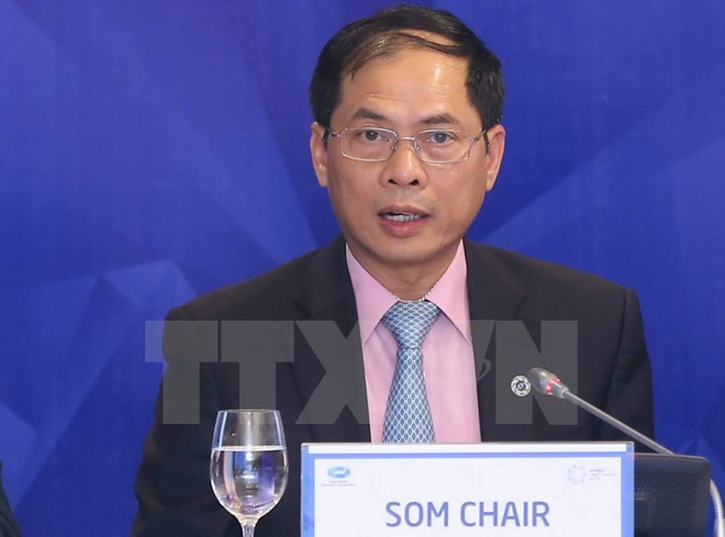 2017年APEC SOM 主席裴青山:越南对地区共同关心的内容提出切实可行的意见和措施 ảnh 1 2017年APEC SOM 主席裴青山:越南对地区共同关心的内容提出切实可行的意见和措施 ảnh 1