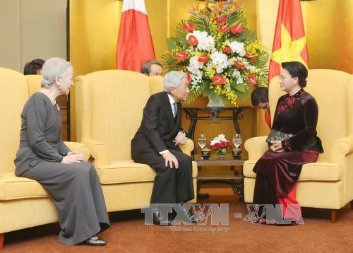 国会主席阮氏金银会见日本天皇明仁和皇后 ảnh 1 国会主席阮氏金银会见日本天皇明仁和皇后 ảnh 1